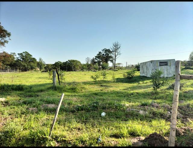 747M² VACANT LAND FOR SALE IN ALBERTINIA